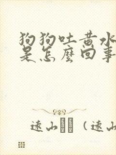 狗狗吐黄水尿血是怎么回事