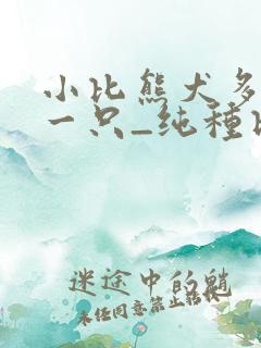 小比熊犬多少钱一只_纯种比熊价格