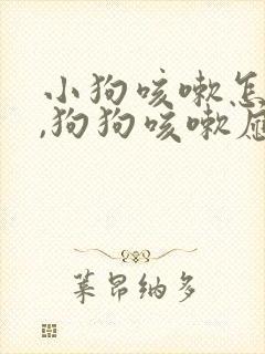 小狗咳嗽怎么办,狗狗咳嗽应该吃什么药