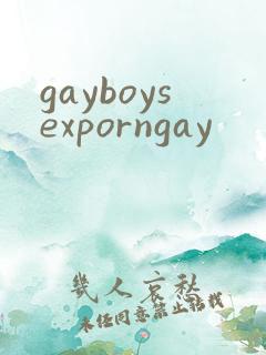 gayboysexporngay