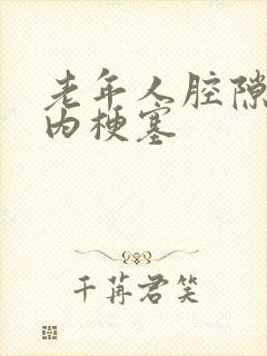 老年人腔隙性脑内梗塞