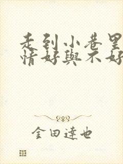 走到小巷里写心情好与不好两种状态