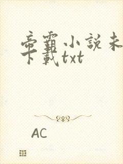 帝霸小说未删版下载txt