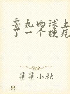 睾丸肉球上面长了一个硬疙瘩