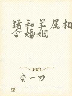 猪和羊属相合不合婚姻