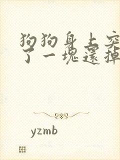 狗狗身上突然黑了一块还掉毛