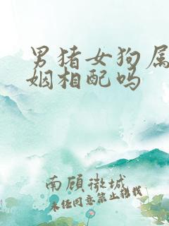 男猪女狗属相婚姻相配吗