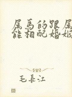 属马的跟属蛇的能相配婚姻吗