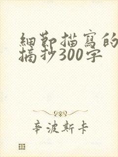 细节描写的段落摘抄300字