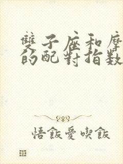 双子座和摩羯座的配对指数是多少