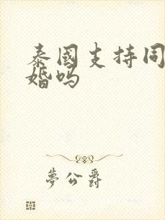 泰国支持同性结婚吗