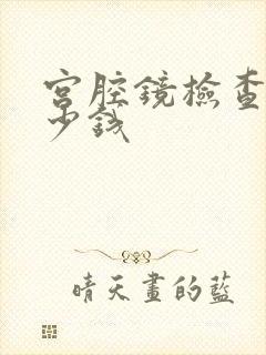 宫腔镜检查需多少钱