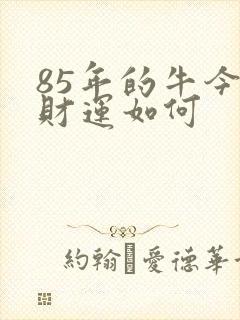 85年的牛今年财运如何