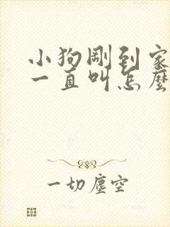 小狗刚到家晚上一直叫怎么办