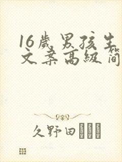 16岁男孩生日文案高级简短