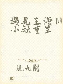 遇见王沥川续写小秋重生