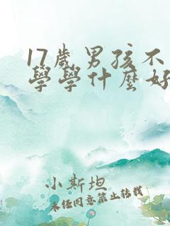 17岁男孩不上学学什么好