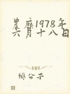 农历1978年六月十八日出生人命运