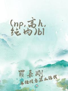 (np,高h,纯肉)bl