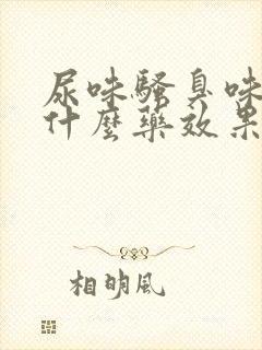 尿味骚臭味大吃什么药效果好