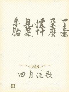 梦见怀孕了双胞胎是什么意思周公解梦