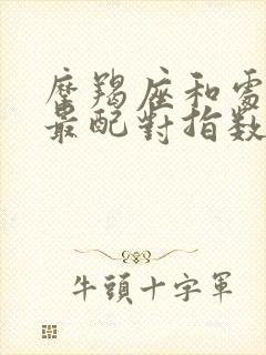 摩羯座和处女座最配对指数