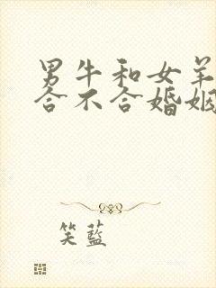 男牛和女羊属相合不合婚姻