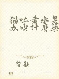 猫吐黄水是怎么办吃什么药物