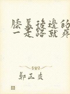 膝盖后边的腿窝一走路就疼