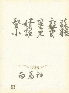 赘婿宁毅苏檀儿小说免费听书