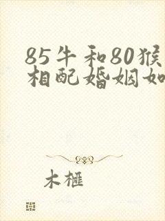 85牛和80猴相配婚姻如何