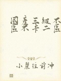 国产三级不卡一区不卡二区在线