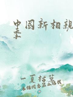 中国新相亲第三季