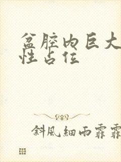 盆腔内巨大囊实性占位