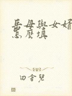 岳母与女婿关系怎么填