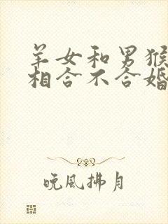 羊女和男猴的属相合不合婚姻