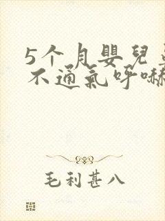 5个月婴儿鼻子不通气呼哧呼哧怎么办