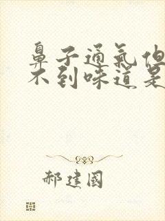 鼻子通气但是闻不到味道是什么原因