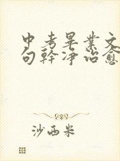 中考毕业文案短句干净治愈