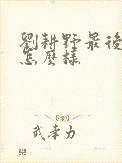 刘耕野最后结局怎么样