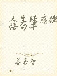 人生经历挫折感悟句子