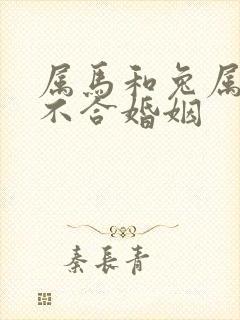 属马和兔属相合不合婚姻