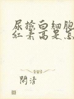 尿检白细胞和胆红素高是怎么回事