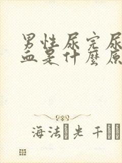 男性尿完尿后有血是什么原因