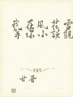 我在风花雪月里等你小说观看