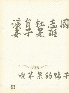 演员杜志国现任妻子是谁