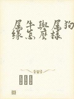 属牛与属狗的姻缘怎么样