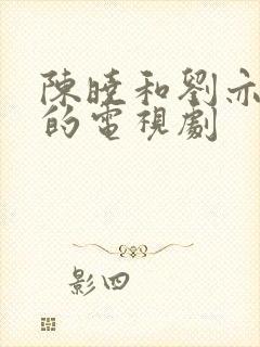 陈晓和刘亦菲演的电视剧