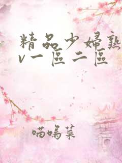 精品少妇熟女av一区二区