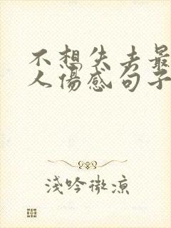 不想失去最爱的人伤感句子